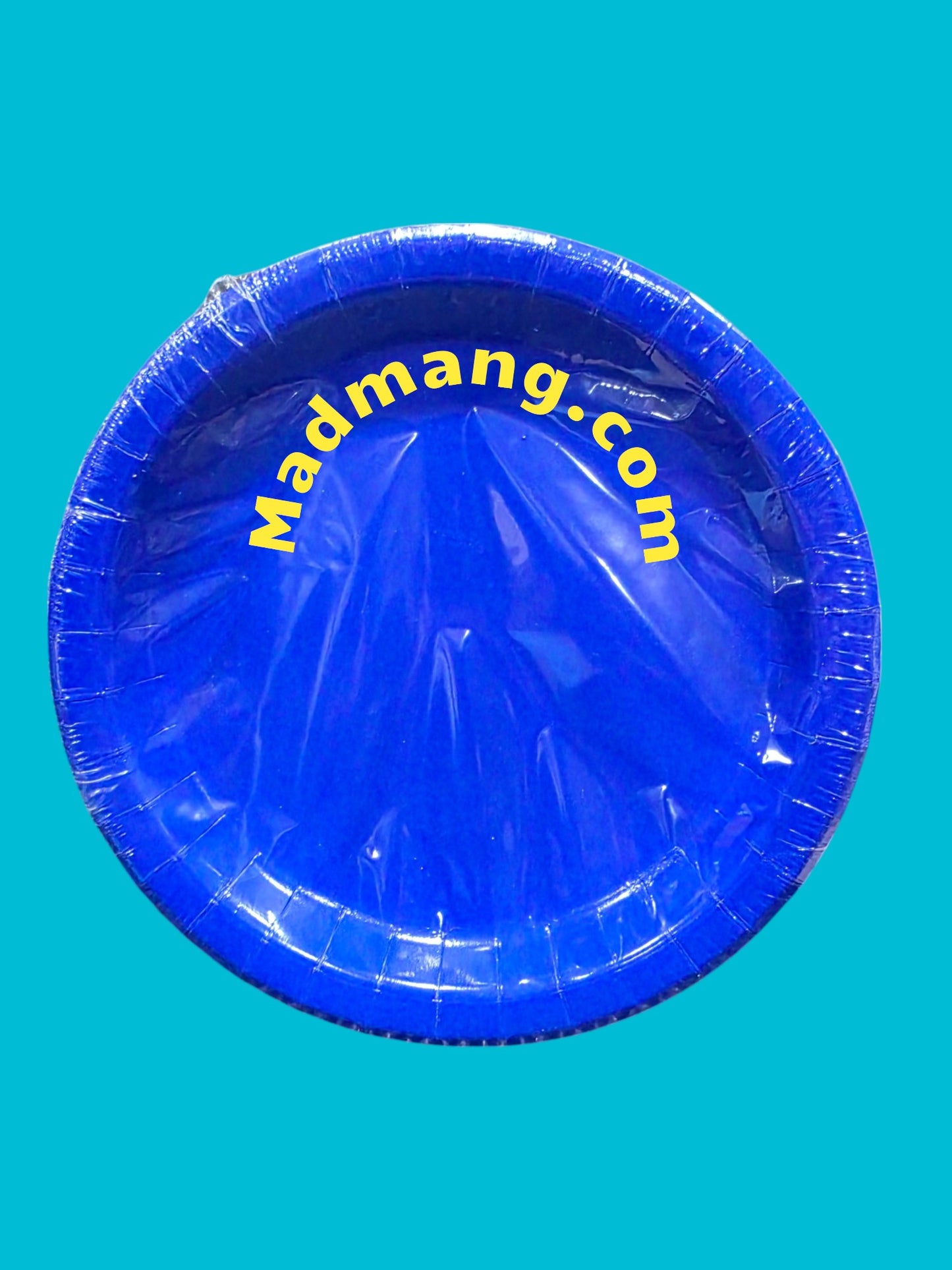 PLATES BLUE large 8.5inch 20pk