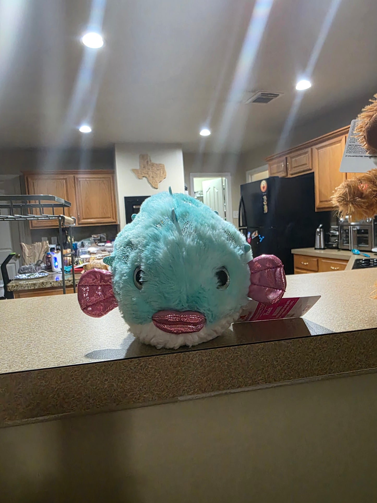 T 106 Aqua blu Fish