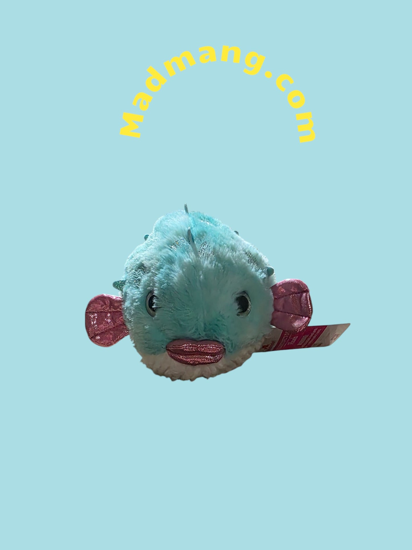 T 106 Aqua blu Fish