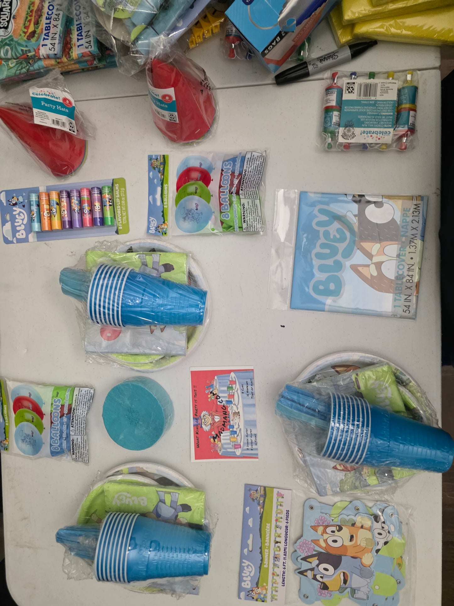Bluey Party bundle for 8