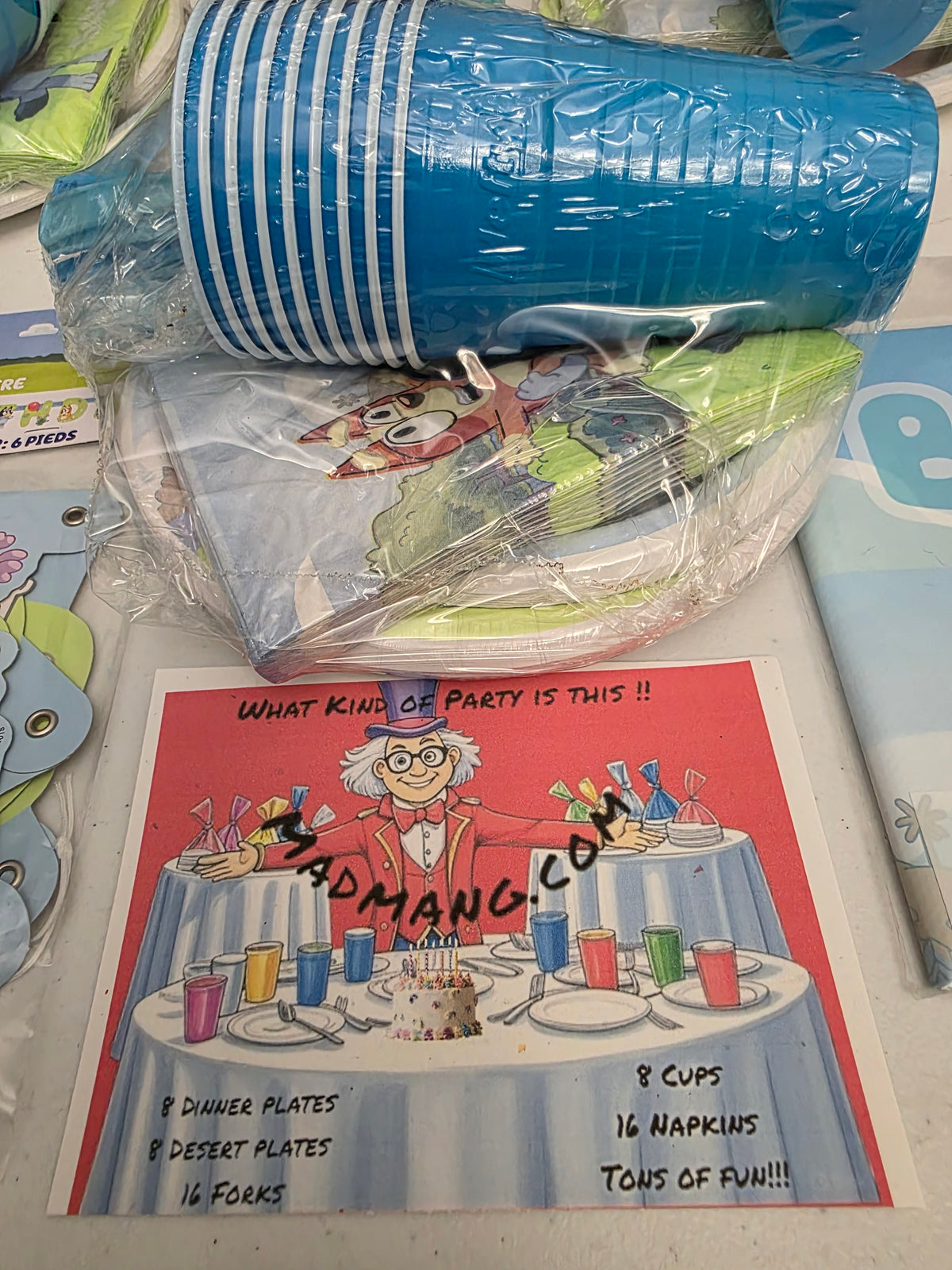 Bluey Party bundle for 8