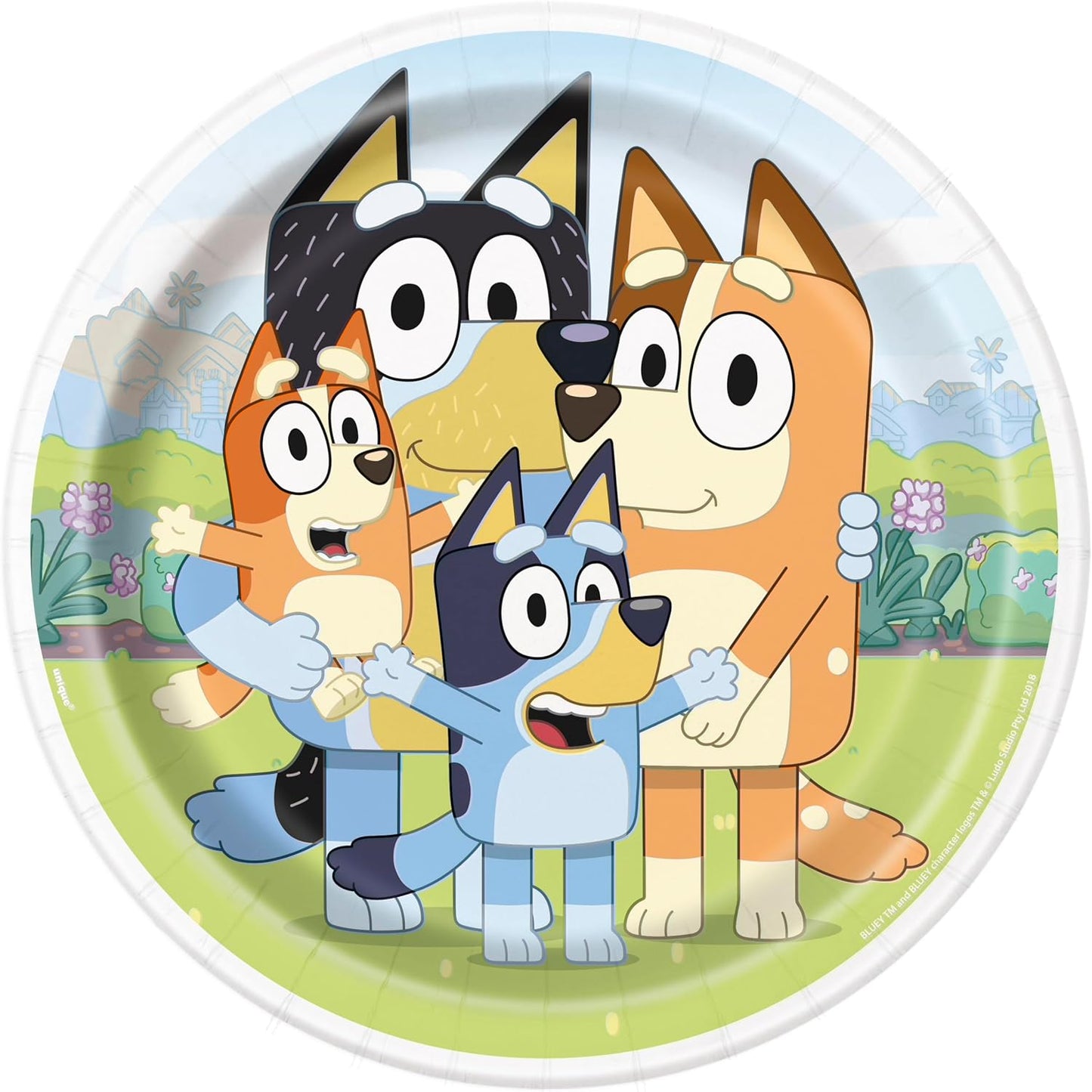 X Bluey Party Bundle each one is for 8 people