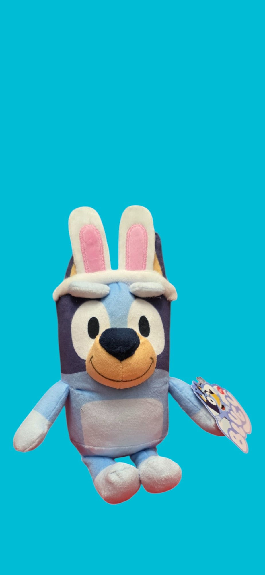 Bluey Plush Stuffed Animal