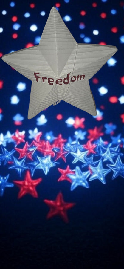 Patriotic Wooden Star Decoration : "White Star Freedom"